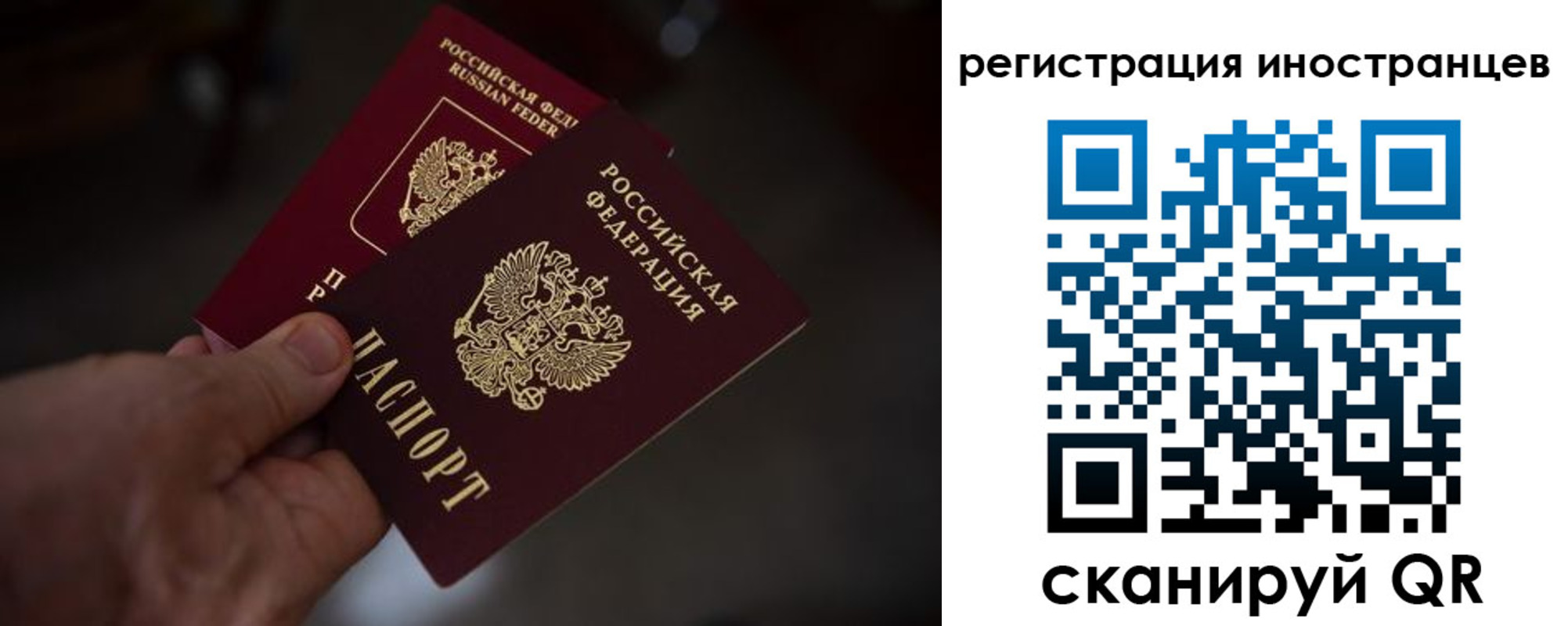 временная регистрация гарантия в Апатитах